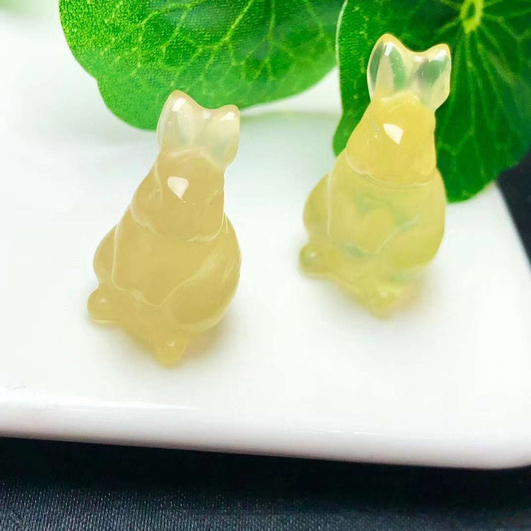 Citrine rabbit