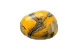 BUMBLEBEE JASPER