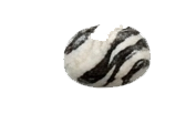 ZEBRA JASPER