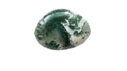 TREE AGATE