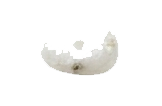 MOON STONE