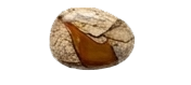 PICTURE JASPER