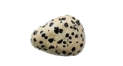 DALMATIAN JASPER