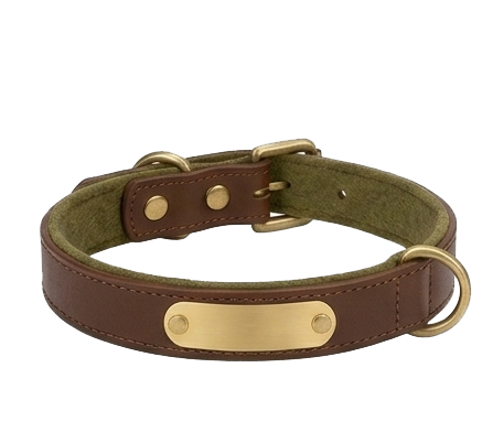 Classic Brown Leather Custom Dog Collar with Olive Green Padded Lining