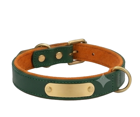 Emerald Green Leather Custom Dog Collar with Vibrant Orange Padded Lining