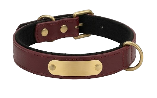 Burgundy Leather Custom Dog Collar with Soft Black Padded Lining